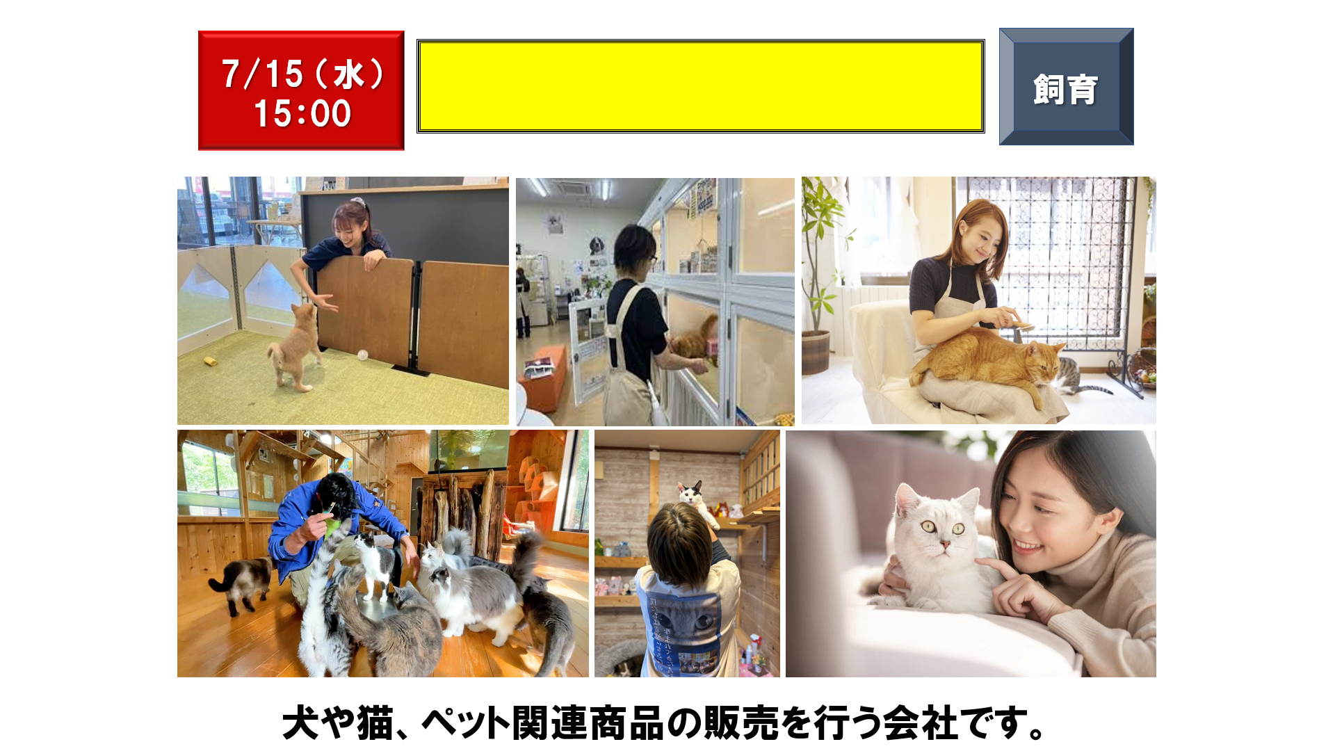 仕事、バイト、正社員